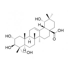 Arjungenin