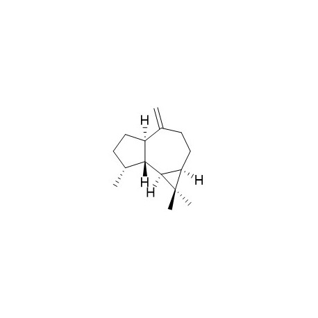 Aromadendrene