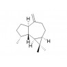 Aromadendrene
