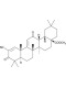 Bardoxolone Methyl (CDDO-Me)