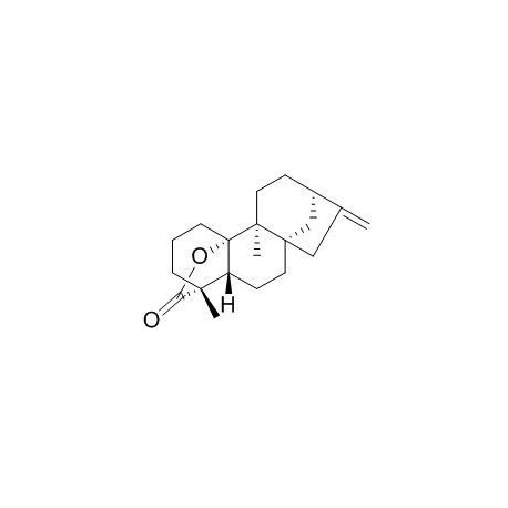 Tetrachyrin