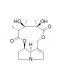 Crotaline