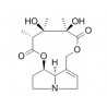 Crotaline