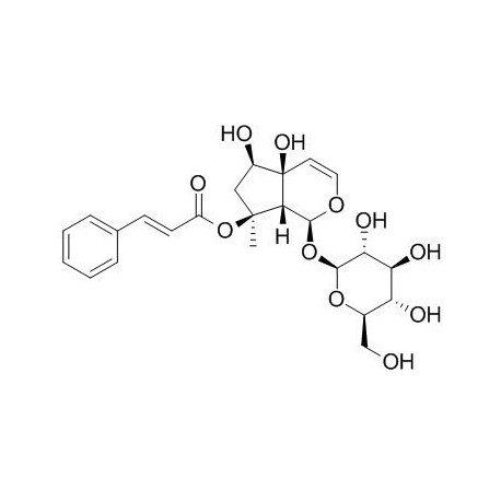 Harpagoside