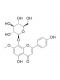 5,8,4'-Trihydroxy-7-methoxyflavone 8-O-glucoside
