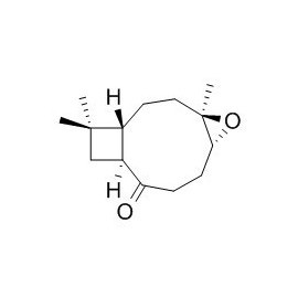 Kobusone