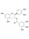 (-)-Catechin gallate(CG)