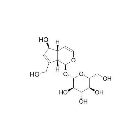 Aucubin