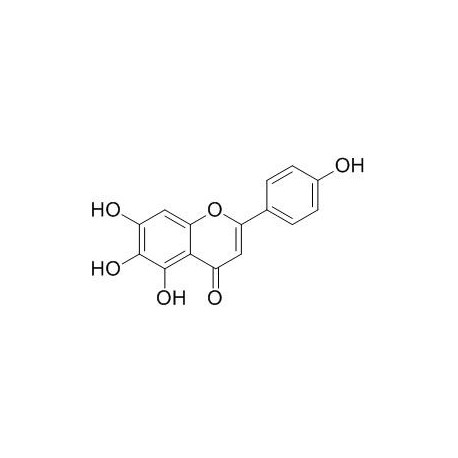 Scutellarein