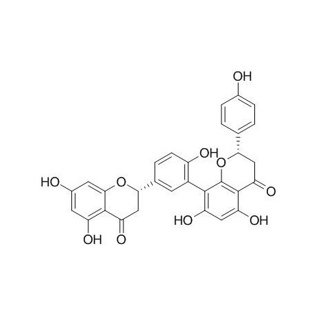 Tetrahydroamentoflavone