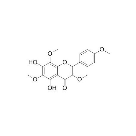Araneosol