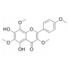 Araneosol