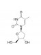 Thymidine