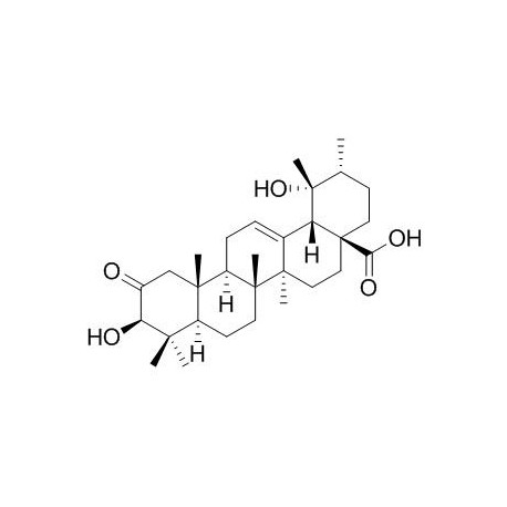 2-Oxopomolic acid