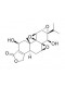 Tripdiolide