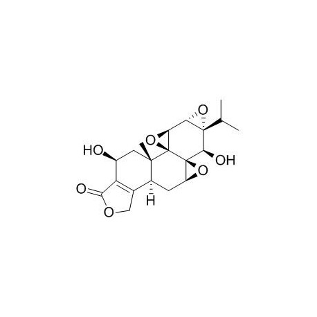 Tripdiolide