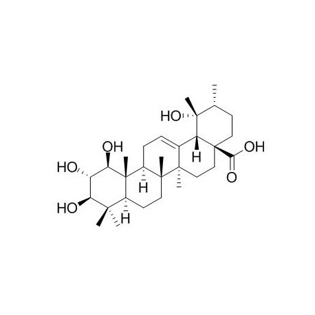 1,2,3,19-Tetrahydroxy-12-ursen-28-oic acid