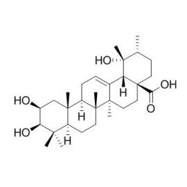 2-Epitormentic acid