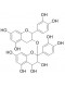 Proanthocyanidins