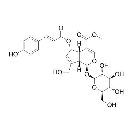 (E)-6-O-(p-coumaroyl)scandoside methyl ester