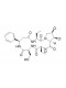 Astin C