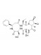 Astin B