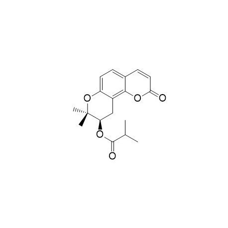 (R)-O-isobutyroyllomatin