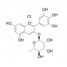 Delphinidin-3-O-rhamnoside chloride