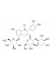 Cyanidin-3-O-sambubioside-5-O-glucoside chloride