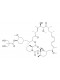 Temsirolimus (CCI-779)