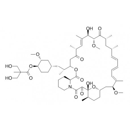 Temsirolimus (CCI-779)