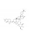 Cyclocephaloside II