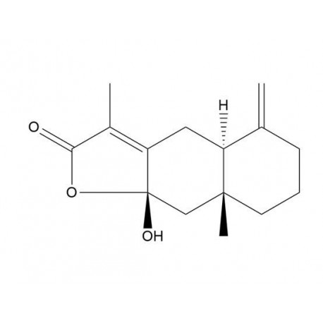 Atractylenolide Ⅲ