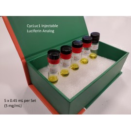 CycLuc1 Injectable