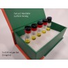 CycLuc1 Injectable Kit