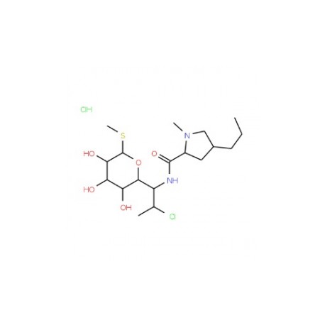 Clindamycin Hydrochloride Monohydrate