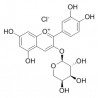 Cyanidin-3-O-arabinoside chloride
