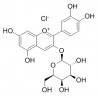 Cyanidin-3-O-galactoside chloride