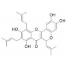 Artoheterophyllin B