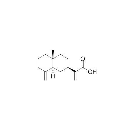 beta-Costic acid