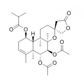 Scutebata E