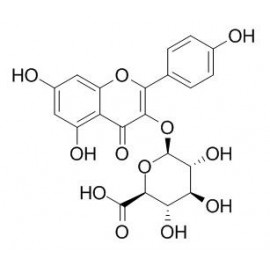 Kaempferol-3-beta-O-glucuronide