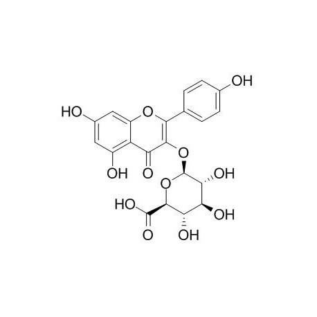 Kaempferol-3-beta-O-glucuronide