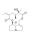Integerrimine