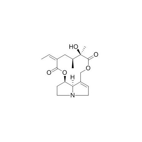 Integerrimine