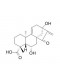 Pterisolic acid A