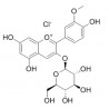 Peonidin-3-O-glucoside chloride