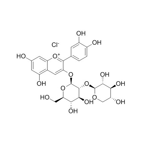 Cyanidin-3-O-sambubioside chloride