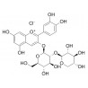 Cyanidin-3-O-sambubioside chloride