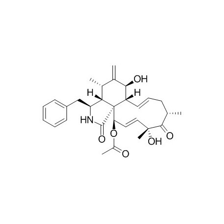 Cytochalasin D